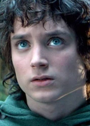Frodo Baggins