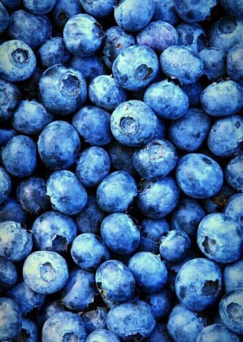 Fruit: Blueberry