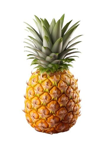 Fruit: Pineapple