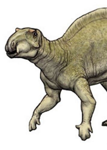 Fukuisaurus