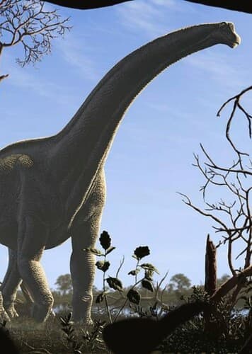 Futalognkosaurus