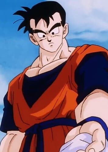 Future Gohan
