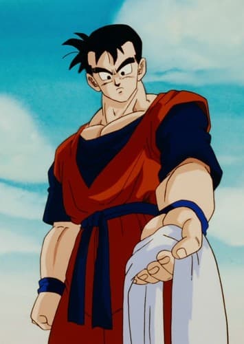 FUTURE GOHAN