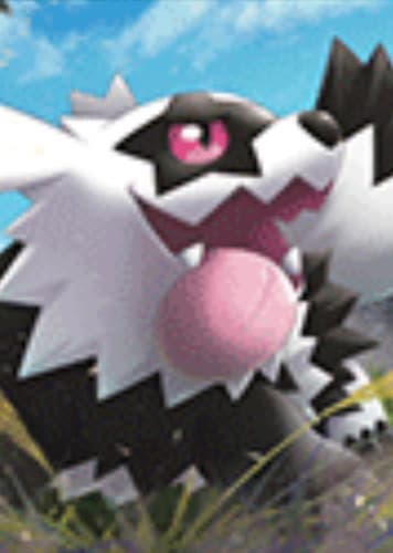 Galarian Zigzagoon / ガラル ジグザグマ