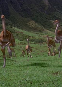 Gallimimus