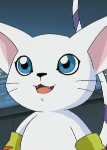 Gatomon