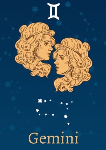 Gemini ♊️