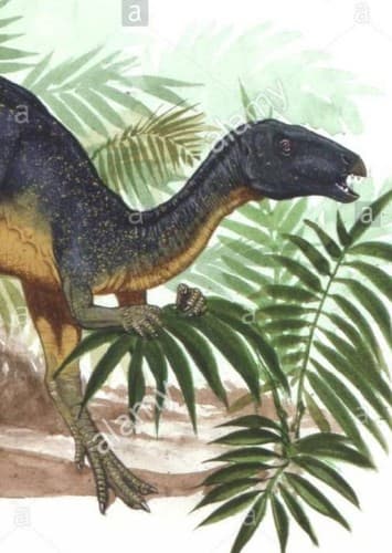 Geranosaurus