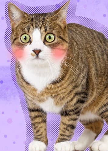 Georgina ‘Georgie’ Barker