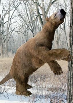 Giant Ground Sloth