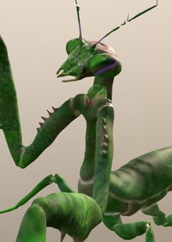 Giant Praying Mantis