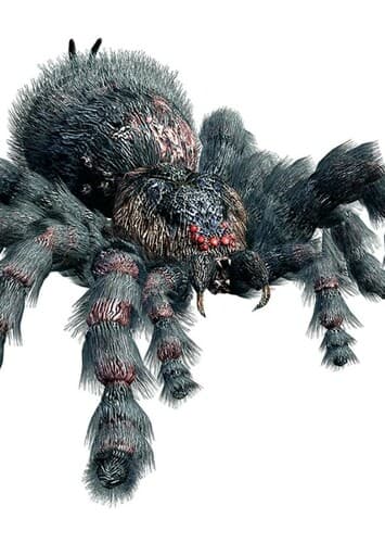 Giant Spider