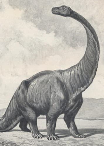 Gigantosaurus