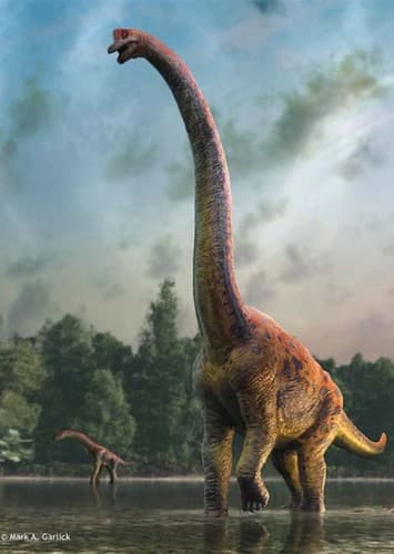 Giraffatitan