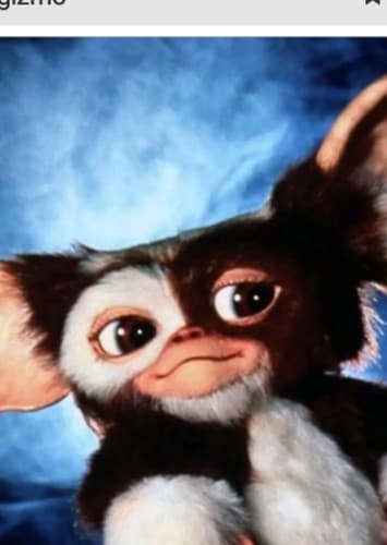Gizmo