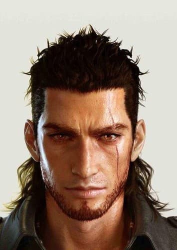 Gladiolus Amicitia