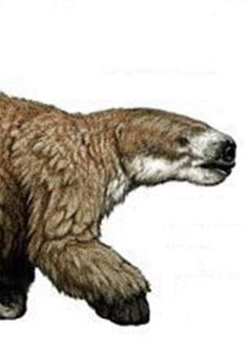 Glossotherium