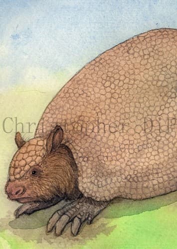 Glyptodon