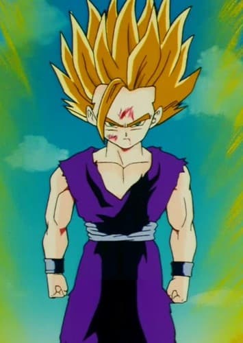 Gohan (DBZ)