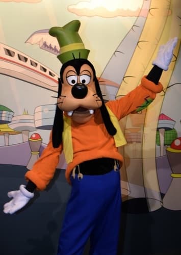 Goofy