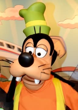 Goofy