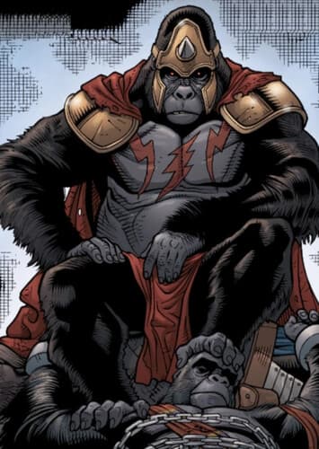Grodd