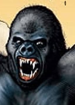 Gorilla Grodd