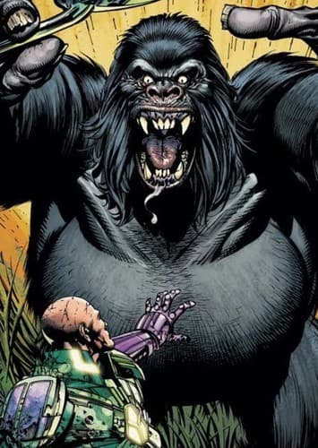 Gorilla Grodd