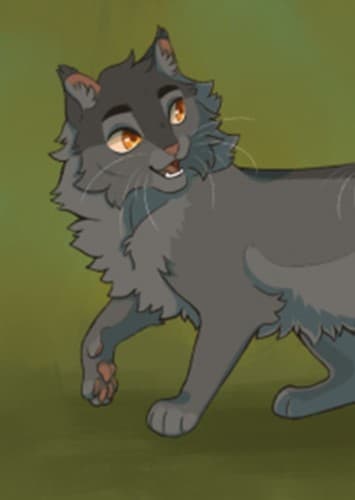Graypaw