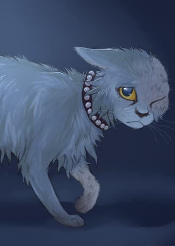 Grizabella