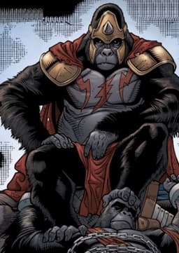 Grodd