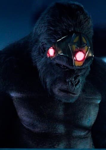 Grodd