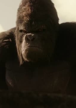 Grodd