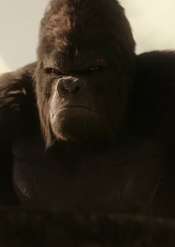 Grodd