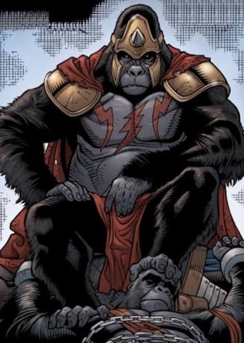 Grodd