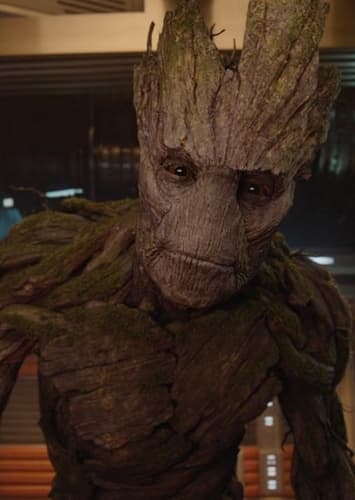 Groot