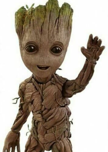 Groot