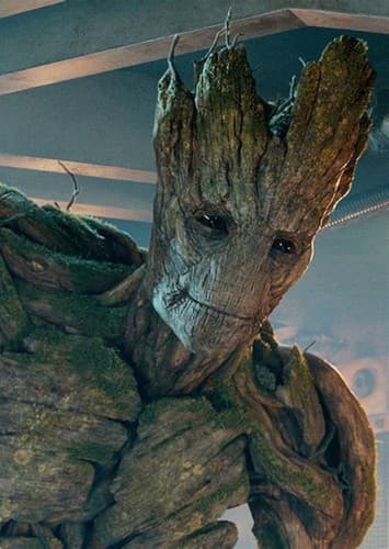Groot