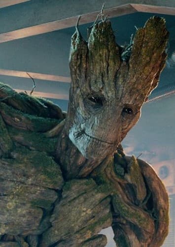 Groot