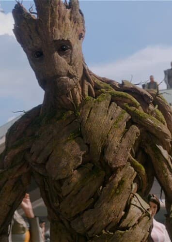 Groot