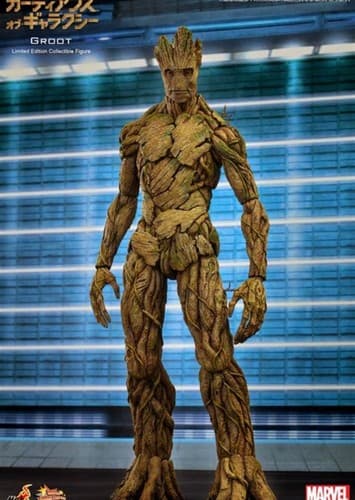 Groot