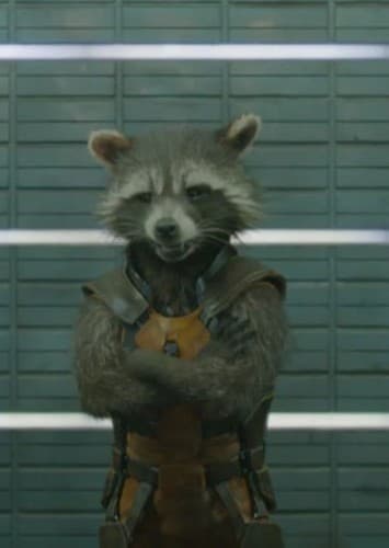 Rocket Raccoon / 89P13