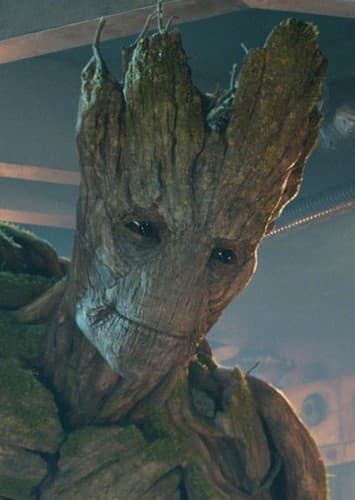 Groot