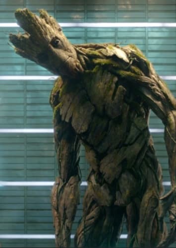 Groot