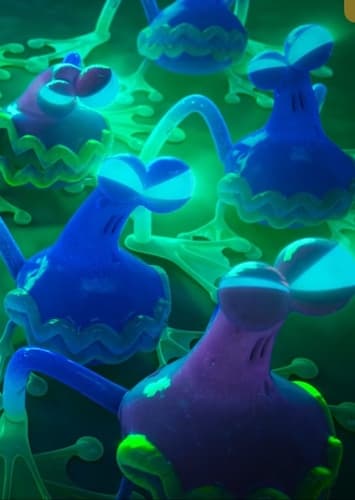 Gum-beast Tree Frogs