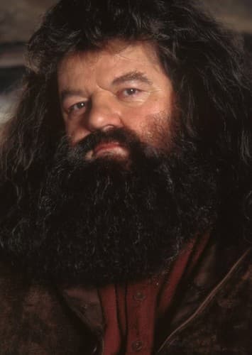 Rubeus Hagrid