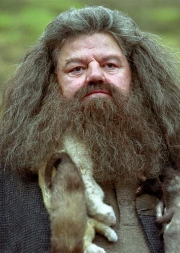 Hagrid