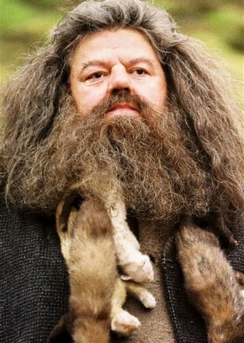 Hagrid