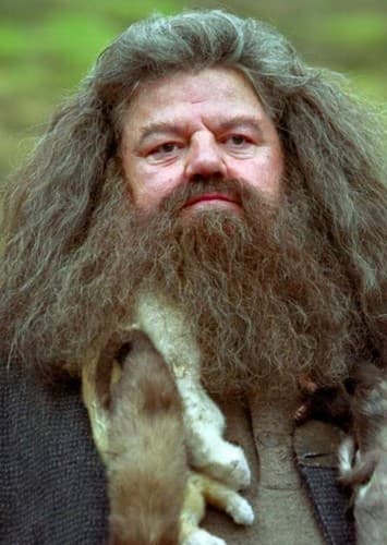 Hagrid