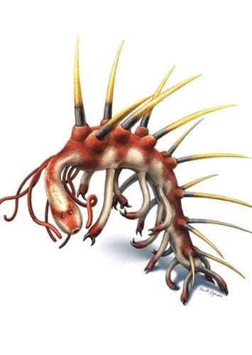 Hallucigenia